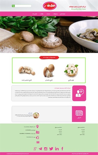 طراحی سایت کشت و صنعت قارچ هیلدانه